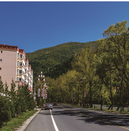 马尔康县城区道路改造工程 (2).jpg